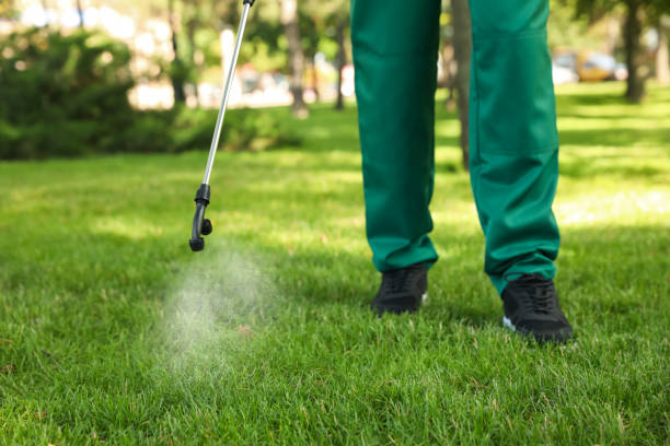 Professional Pest Control in Putney, GA